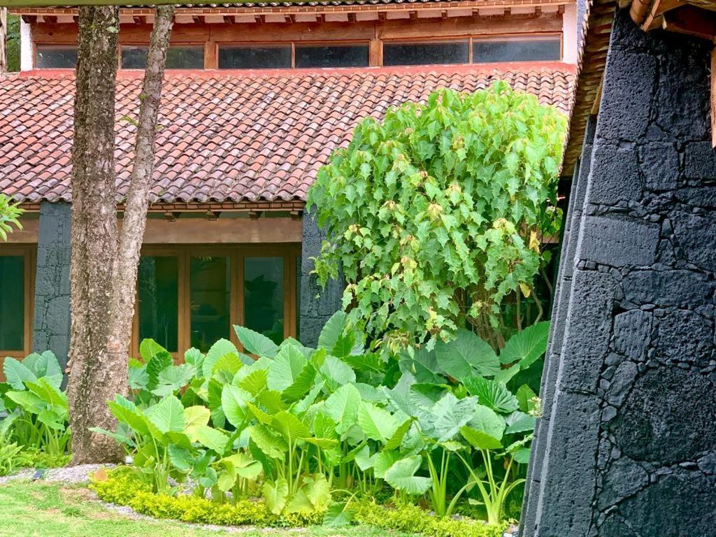 Quinta Tonantzin Hotel Tepoztlan Exterior photo